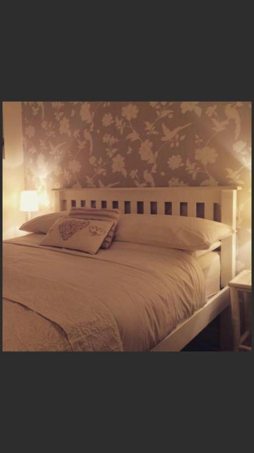 Ty Mawr Hotel Llanbedr  Eksteriør billede